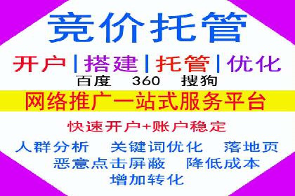 SEM营销案例：电商平台的流量密码